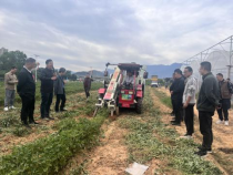 11.19明星ai
发展中心党支部联合安溪县明星ai
第四党支部开展“旗帜领航·项目创优”主题党日活动345